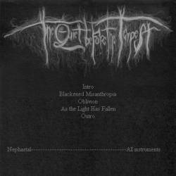 The Quiet Before The Tempest : The Quiet Before the Tempest